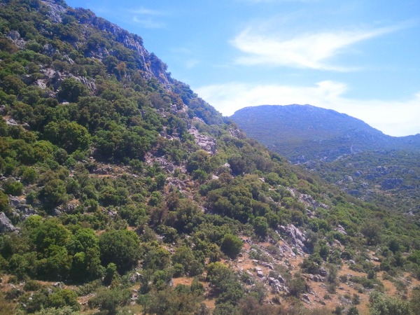 The trail between Selimiye and Turgut